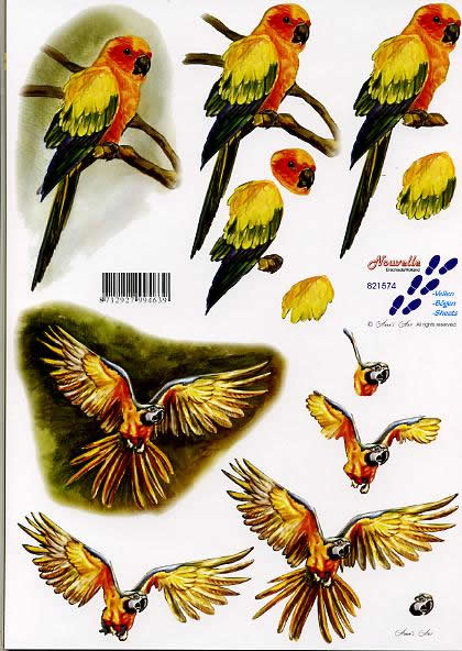 3D-Bogen Nouvelle 821574
