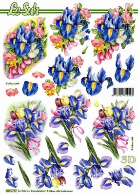 3D-Bogen LeSuh 8215777 Iris und Tulpen