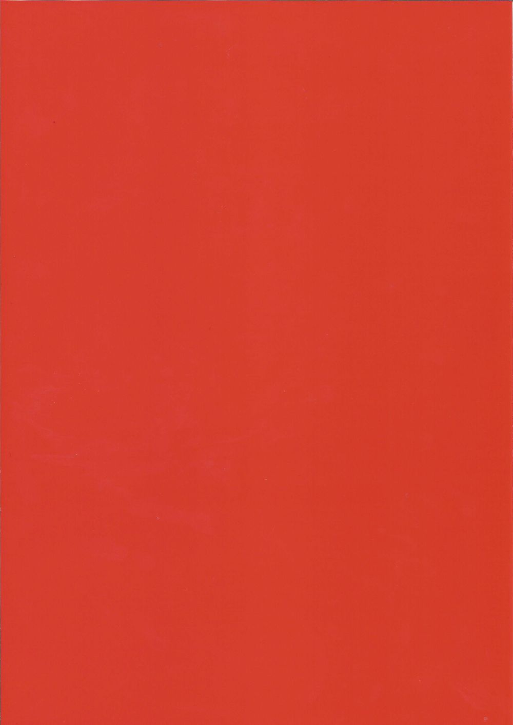 Karo-Line - Bastelkarton Rot Rckseite