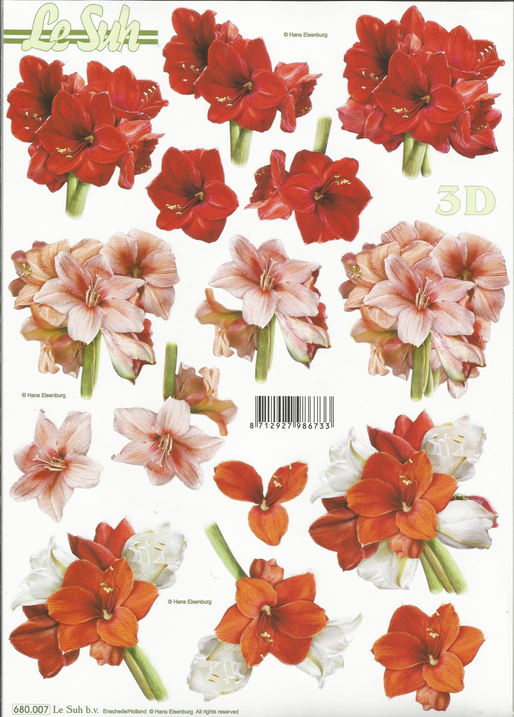 3D-Stanzbogen LeSuh Amaryllis